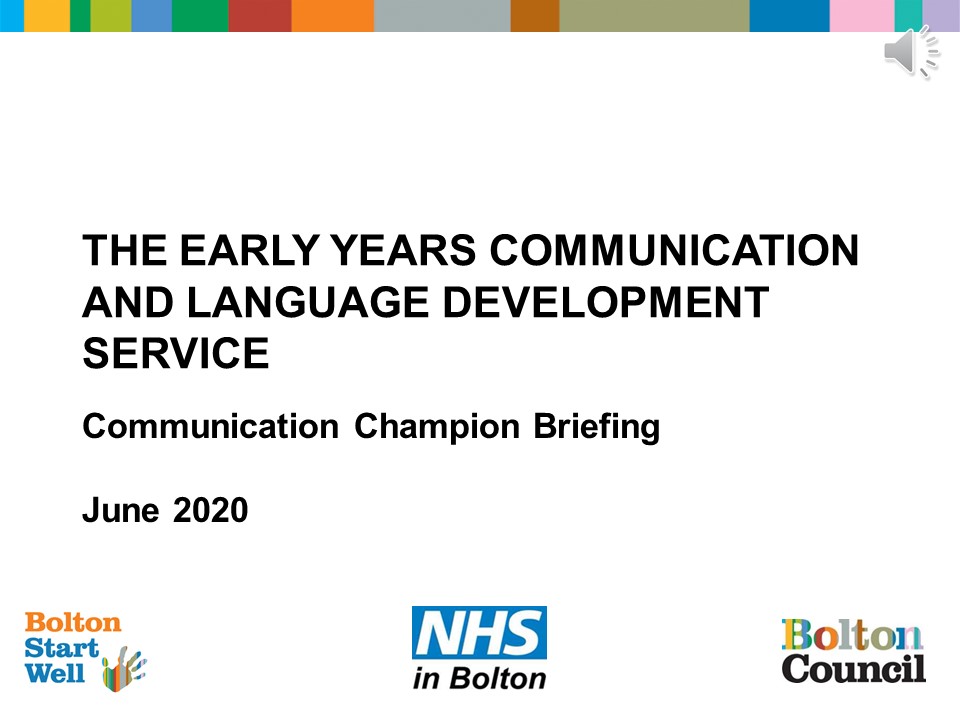 Communication Champion Briefing