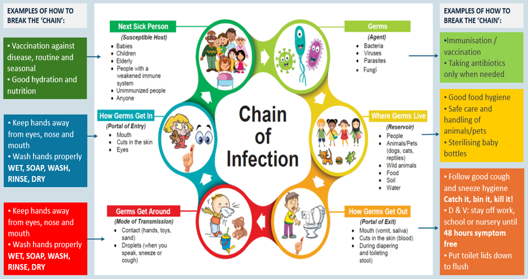 Decorative infographic