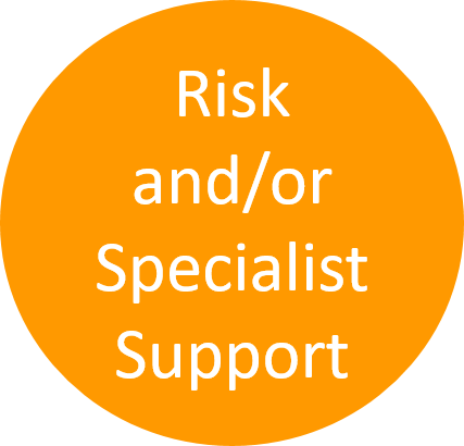 Risk specialist support